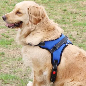 Pettorina per cani riflettente regolabile di alta qualità senza trazione con manico