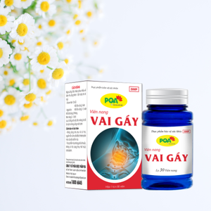 Herbal Supplements for Adult Hot Seller Bone Density Neck/Shoulder Capsules Bone Joint Symptoms 30 Capsules Made in Vietnam - Product Image 6