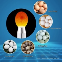 Lampe d'inspection LED rechargeable pour œufs, état neuf, lumière froide, pour machine à couver