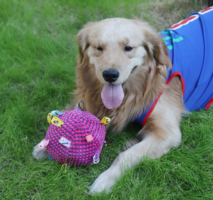 Retail Eco-Friendly <b>Dog</b> Soft Fabric <b>Ball</b> Built-in Bell Sound Chewing Training Throwing Pick Pet Toys for Indoor Use Wholesale - Product Image 5