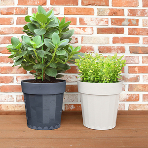 Pot de plantation empilable en plastique épais et robuste de 12 L, beige, rond, pour pépinière, serre, usage commercial - Product Image 1