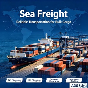 Agenzia di Spedizioni Marittime per Israele, Servizio Professionale DDP, Trasporto Aereo DHL UPS Fedex per Israele, Kuwait, Arabia Saudita, Oman, DOH - Product Image 1