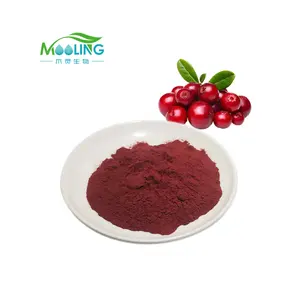 Hochwertiges Lingonberry-Extrakt Lingonberry-Pulver