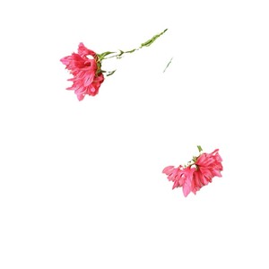 Bouquets de fleurs artificielles mélangées, fleurs en soie, décoration intérieure, décorations de mariage, toucher doux, moulage par injection - Product Image 5