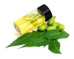Aceite de Neem Premium 100% Puro Prensado en Frío, Aceite Esencial Puro Extraído de Semillas, Extracto Herbal, Ingredientes Naturales para Todo Tipo de Piel - Product Image 2