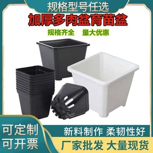 Pots à fleurs pour plantes succulentes, pots de pépinière carrés de 10 cm avec trous de drainage pour la propagation des semis et l'utilisation sur le bureau - Product Image 5