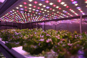 โรงงานปลูกพืชในร่มแบบไฮโดรโปนิกส์ Skyplant ตู้คอนเทนเนอร์ขนส่งแบบแช่แข็งขนาด 40HQ เครื่องผลิตหญ้าอาหารสัตว์แบบไฮโดรโปนิกส์ - Product Image 6