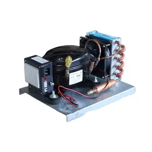 BD15HC mini yoğuşmalı ünite DC kompresör mikro soğutma ünitesi hava soğutmalı buzdolabı ünitesi R134a12V24V