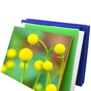 Plaque en plastique ondulée creuse en PP résistante aux intempéries, impression UV, pour signalétique extérieure, campagne promotionnelle, enseigne publicitaire - Product Image 2