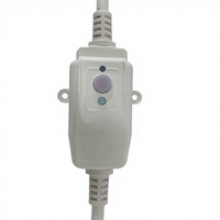 Prise électrique PRCD RIFENG de haute qualité 10A/16A, protection contre les fuites et les surtensions, IP54 CE, pour chauffe-eau