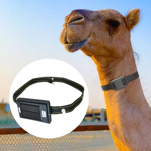 Energía solar GPS animal ganado oreja etiqueta Tracker tbt3 2024 Última tecnología GPS Tracker sistema desarrollo fábrica soporte personalizado - Product Image 1