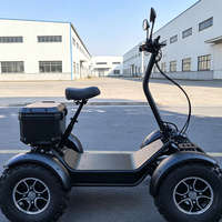 LEODOO Nouveau Buggy Tout-Terrain Électrique 4x4 pour Adultes, Pliable, Type Voiturette de Golf, Autonomie 80 km, Vitesse 50-70 km/h