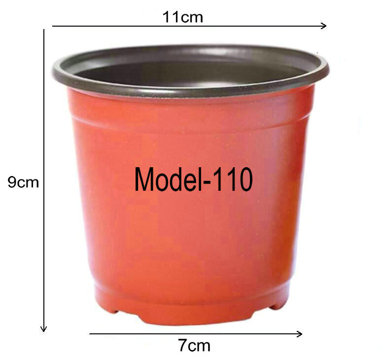 110