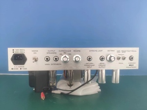 Modelos de amplificador Grand Overtone Special Reverb Head 20W DumbleTone - Product Image 5