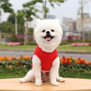 Vente en gros OEM, débardeur pour animaux de compagnie en coton doux et respirant, sans manches, couleur unie, 15 couleurs, pour petits chiens - Product Image 5