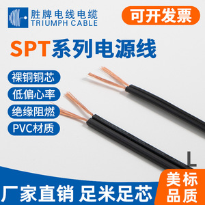 Triumph <b>Cable</b> Spt 1 <b>Power</b> Cord Tinned Double Parallel Wire Pure Copper Black Flat <b>Cable</b> For Electrical Equipment Internal Parts - Product Image 3