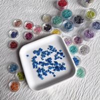 Fleur de dentelle de la reine Anne pressée naturelle tendance pour le nail art, la manucure et les loisirs créatifs