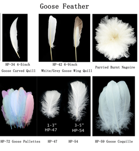 Pluma blanca de pato Natural para manualidades Diy, tocado, sombrero, accesorio para disfraz de pelo, fiesta de carnaval, boda, hogar, decoración de Halloween - Product Image 4