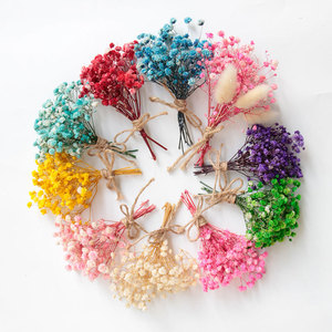Flores Secas Naturales para Decoración de Paredes, Pequeños Ramos Rústicos de Botánicos Reales Preservados para Manualidades, Decoración del Hogar y Regalos de Boda - Product Image 4