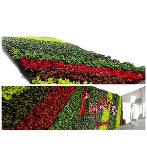 Muro de Plantas Artificiales Greenway, 1 Metro Cuadrado, Simulación de Vegetación para Decoración de Interiores, Estilo Rústico - Product Image 2