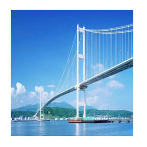 Aangepaste Professionele Brug Stalen Sleepketting Stalen Kabel Ophangbrug Te Koop - Product Image 3