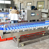Commerciële 304 Roestvrijstalen Materiaal Gewichtsselectie Machine Plantaardige Zeevruchten Sorteermachine Kiwi Fruit Sorteermachines