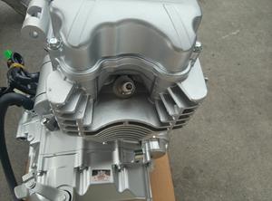 Motor de Motocicleta Cg250pro de Alto Rendimiento Personalizable para Triciclos y Motocicletas - Product Image 6