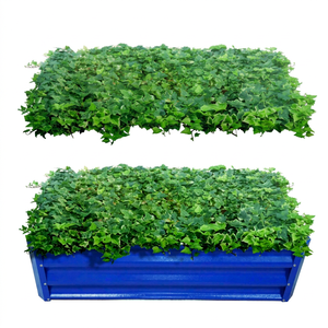 Outdoor Metal Raised Garden Bed Vegetables Flowers Herbs Tall Steel Large <b>Planter</b> Box OEM ODM Power Coated 6 Feet Eco-Friendly - Product Image 1