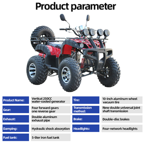 JUNCHI ATV Automático Todoterreno, Motocicleta de Cuatro Ruedas para Playa, 12 Pulgadas, Aluminio, Certificado CE, 1 Año de Garantía, 230 kg - Product Image 2
