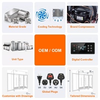Lemari Pendingin Bir Satu Pintu dengan Refrigeran R290 Hemat Energi, Daya Dapat Diatur (500W/1500W), Rentang Suhu 10-15C
