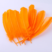 Plumes de dinde colorées blanches et noires teintes sur mesure en gros, 25-30 cm, pour l'artisanat et les fêtes