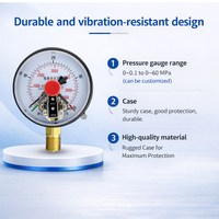 High Precisionvibration Resistant Brass Connection Industrial Manometer 100mm Electric Contact Pressure Gauge