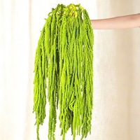 Suncalla 12 Buah Bunga Buatan Amaranthus Kering Alami Musim Semi Hijau Buket Lengkungan Pernikahan Dekorasi Dinding Rumah
