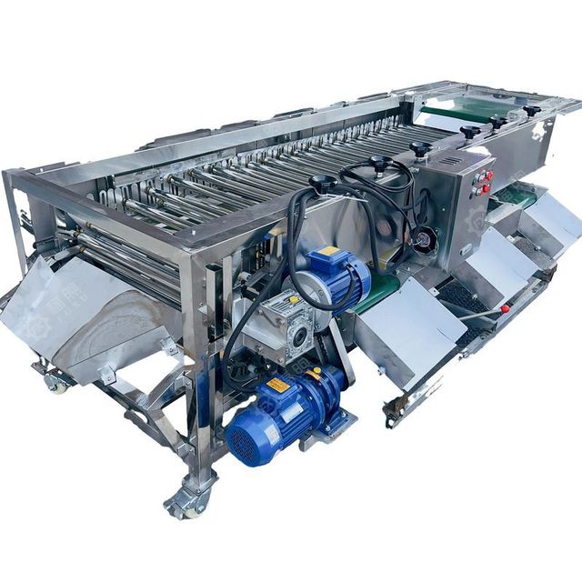 Factory price automatic onion tomato orange Roller sorting machine potato grading machine