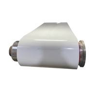 Bobine d'acier prépeinte galvanisée de qualité DX51D pour réfrigérateurs et machines à laver