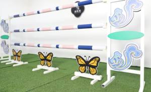 Sauts de chevaux en aluminium PVC d'occasion à vendre Équipement de saut d'obstacles pour l'équitation de type occidental - Product Image 5