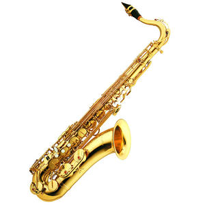 <span class=keywords><strong>Saxophone</strong></span> alto professionnel de haute qualité Surface de laque d'or bon marché avec matériau en laiton EB Tone - Product Image 5