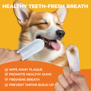 Private Label Dental Care Finger Wipes Pet Soft Cleaning Dog Toothbrush Wipes Pets Dental Finger Wipes - Product Image 3