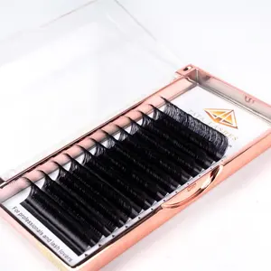 Factory direct sale lashes Extension grafting eyelashes Individual Eyelash Extension 3d mink lashes extension tray