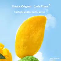 Vente en gros de fruits secs Zhongbao Mangue séchée originale Collations saines Fruits secs mous Mangue cambodgienne fraîche au goût sucré