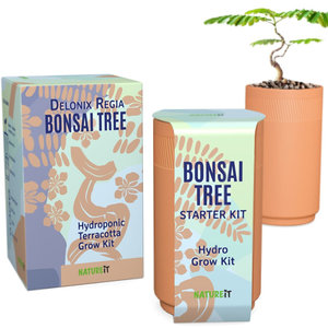 Top Selling Diy <strong>Bonsai</strong> Kit Wooden Garden Starter Plant Set Grow Your Own <strong>Bonsai</strong> Kit Hydroponic Terracotta Grow Kit - Product Image 1