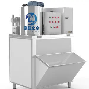 Hiyue Ice brand High effect Customized 0.3T 0.5T 1T 2T 5T 8T 10T 15T20T flake ice machine for food industrial fish&seafood