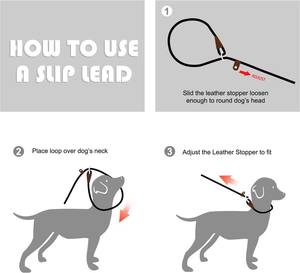 Neu Eingetroffen: 1,8 m Lange, Integrierte Retrieverleine als Trainingsleine für Hunde - Product Image 5