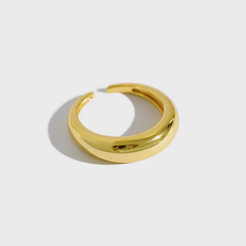 Open 925 Sterling Silver Ring Jewelry Simple Geometric Circular Smooth 18K Gold Filled RingためWomen