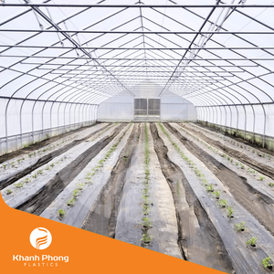Película de Plástico para Invernadero Agrícola con Tratamiento UV de Alta Calidad para Vegetales/Flores, Silvicultura y Pesca, Dimensiones Estándar de Rollo - Product Image 2
