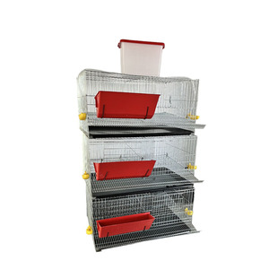New Model High Quality H Type <strong>Stacking</strong> Quail <strong>Cage</strong> for Egg Production Layer - Product Image 4