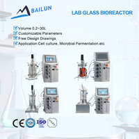 Biorreactor de Vidrio de 2 Litros, Biorreactor de Laboratorio, Mini Fermentador, Biorreactor de 5 Litros de Vidrio, Tanques de Fermentación Pequeños