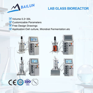 Bioréacteur en verre de 2 litres, bioréacteur de laboratoire, mini-fermenteur, bioréacteur de 5 litres en verre, petits réservoirs de fermentation - Product Image 1