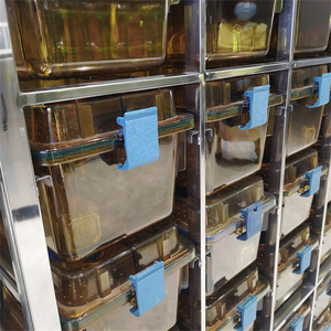 Attrezzatura di sistema IVC di alta qualità gabbia da laboratorio per allevamento di ratti gabbia ventilata singolarmente - Product Image 2