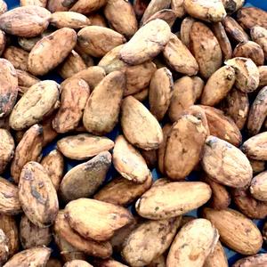 Fèves de cacao naturelles fermentées, nettoyées et torréfiées, qualité supérieure, saveur chocolat riche, fournisseur en gros, marque Enterenprise - Product Image 1